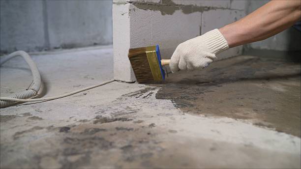 SJ Waterproofing Pros Waterproofing coverage map for Auburn University, AL and surrounding area